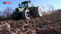 L’Occitanie à la pointe de l’agriculture biologique