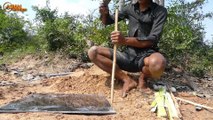 Easy Crocodile Trap - Build Deep Hole Underground Using Paiute Deadfall Trap & Eggs That Work 100%