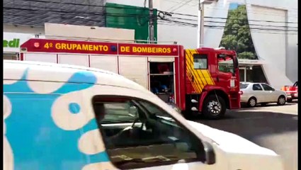 Gambá é capturado pelos Bombeiros no Centro