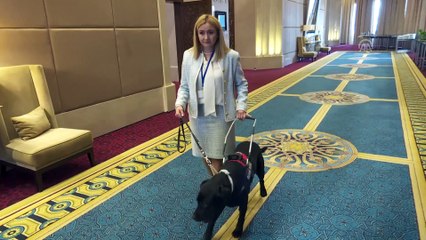 Terapi köpekleri zihinsel engelli çocuklara 'yoldaş' olacak - ANKARA