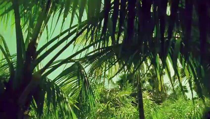 금산출장마사지 -후불100%ョØ1Ø-2703-7745【카톡VVV75】→#K# 금산출장안마 금산출장샵 금산오피 금산출장전문업소 금산출장안마추천 금산콜걸 で금산출장맛사지