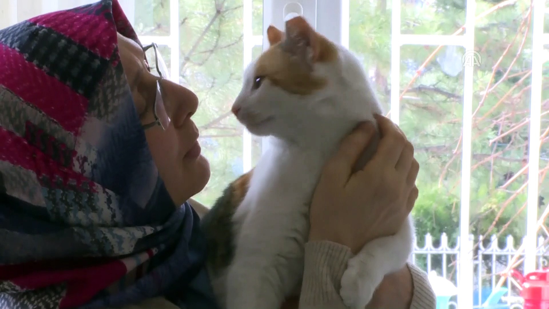 Dogumunu Yaptirdigi Kedi Ile Yavrularini Sahiplendi Ankara Dailymotion Video