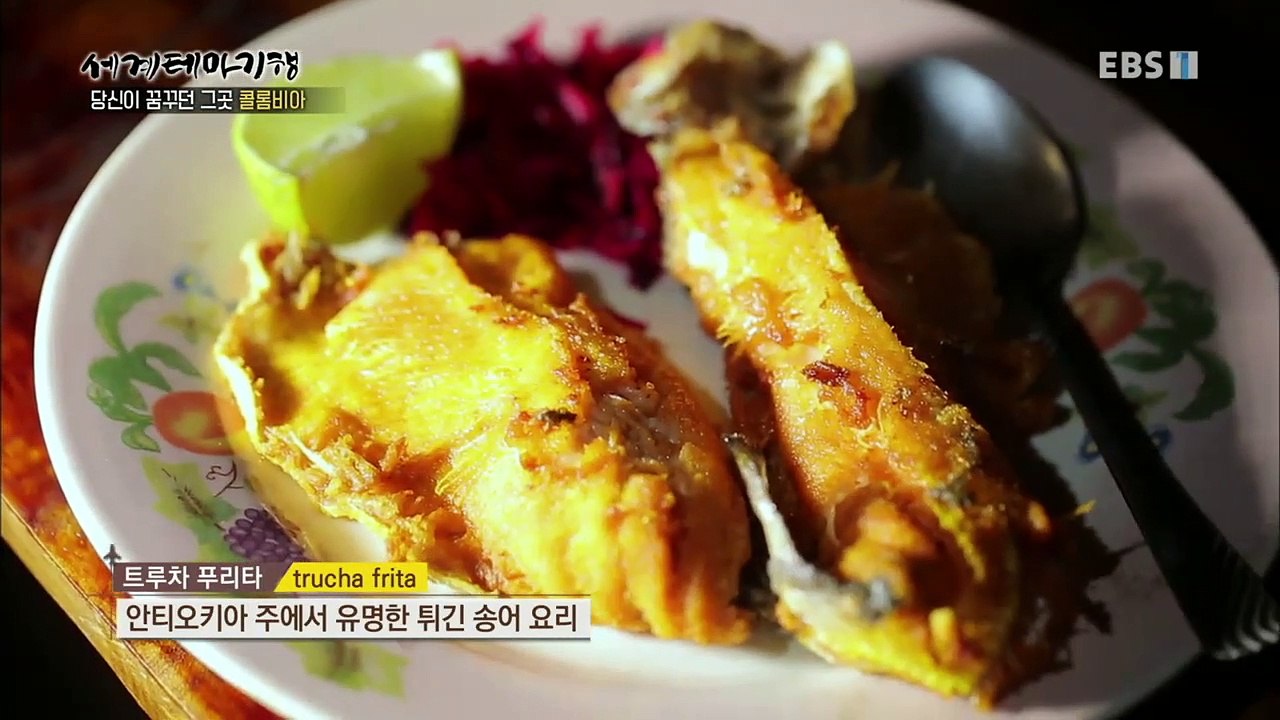 세계테마기행 - 당신이 꿈꾸는 그 곳 콜롬비아 3부- 안데스의 푸른 망토 괌비아노_#003