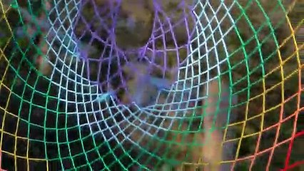 Teaching Kids About the Environment!