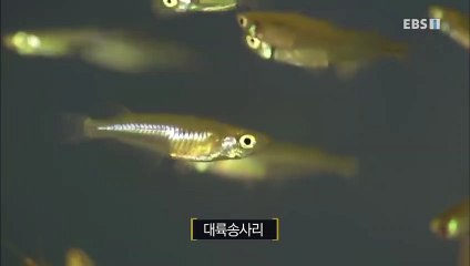 의정부출장안마 -신용100%ョØ7Øg4178g3317[카톡KB600]의정부전지역출장마사지의정부출장oa안마의정부출장마사지'미인だち출장콜걸출장미인