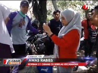 Korban Anjing Rabies di Sumbawa Bertambah jadi 31 Orang