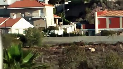 BUCHON MORRILLERO ALICANTINO EN VUELO