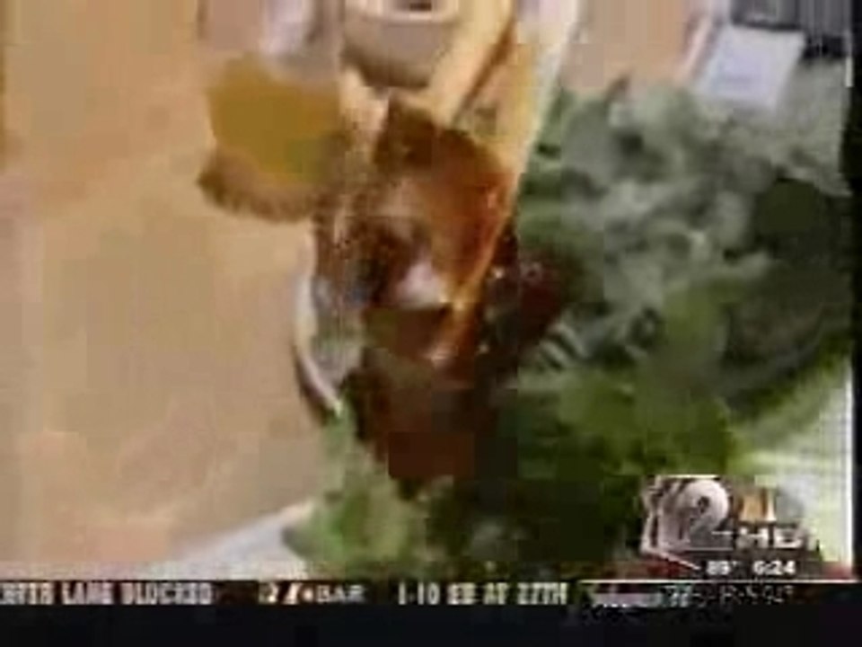 fishing Video 589 (blukorfish.blogspot.com)