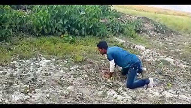 Must Watch New Funny Comedy Videos 2019