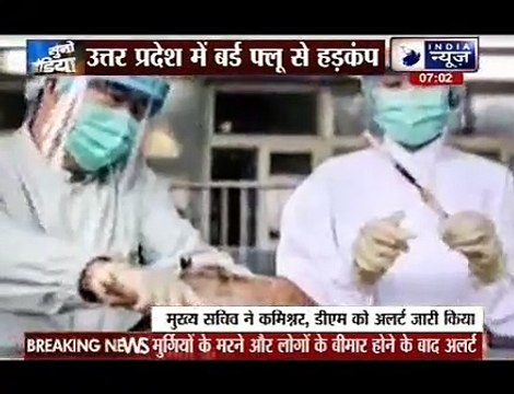 Bird flu alert in Uttar Pradesh after 350 birds die