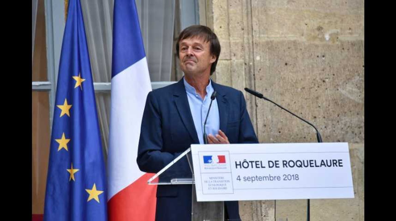 Toujours très populaire, "Hulot revient"