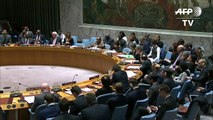 EEUU presiona en ONU por ingreso de asistencia a Venezuela