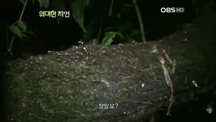 강진출장안마 -신용100%ョØ1Øa9528g0391｛카톡KM800｝강진전지역출장마사지강진출장oa안마강진출장마사지'미인ェエ출장마사지샵최저가출장