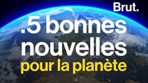 Plantation d'un milliard d'arbres, agriculture bio… 5 bonnes nouvelles pour la planète