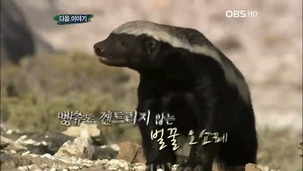인천출장안마 -신용100%ョØ7Øw4178g3317《카톡DB600》인천전지역출장마사지인천출장oa안마인천출장마사지'미인ニヌ최고의서비스섹S