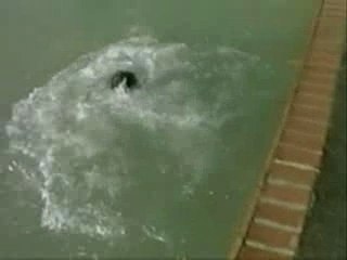 Water Jump Reims 1999