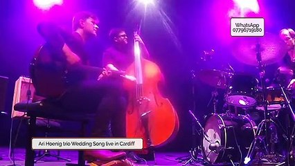 Local Band Ari Hoenig!