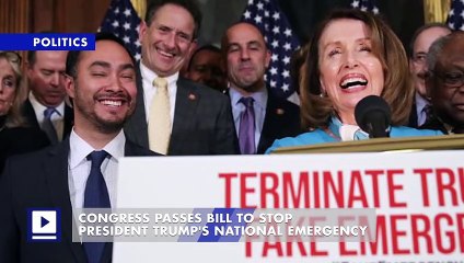 Congress Passes Bill to Stop President Trump's National Emergency