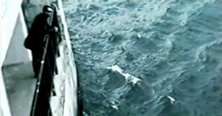 ΔΗΜΗΤΡΗΣ ΚΟΚΟΤΑΣ ΜΗΝΥΜΑ ΓΡΑΠΤΟ