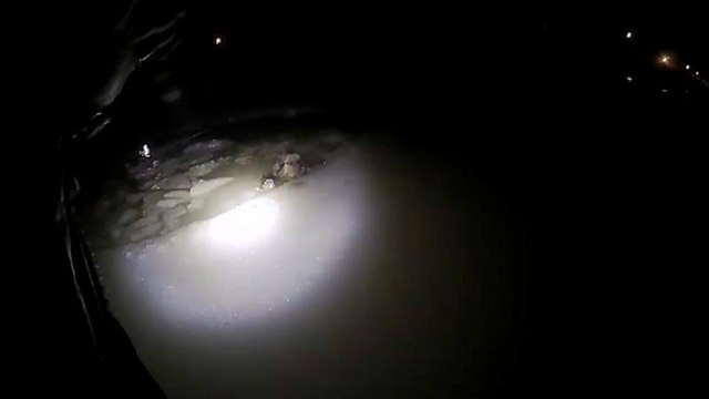 Полицейский спас собаку, провалившуюся под лёд, и стал героем