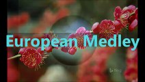 European Medley (August 1999 - November 1999)