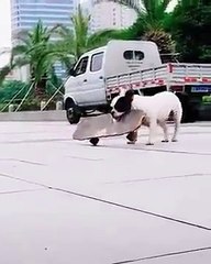 Günaydınn sıkı tutunun gençler, hız alıyoruz, çünkü geç kalmak