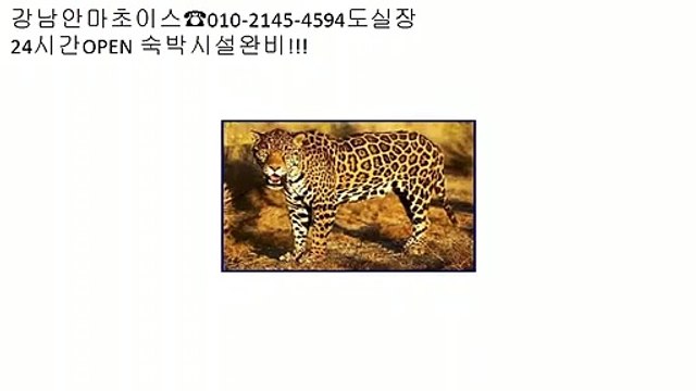 선릉역안마 ₲ ％ 강남안마1위〔olo∏2145∏4594 #도실장찬스#〕 ％ ǡ 선릉안마코스 ų 선릉안마방코스 intricate ₲ 선릉역안마 ᗳ 선릉안마방위치 ％ betray ĥ 선릉안마방업소위치 ų 선릉안마번호 ĥ 선릉역안마 ％