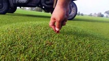 Pas facile de jouer au golf quand il y a des bulles d'air sous le gazon