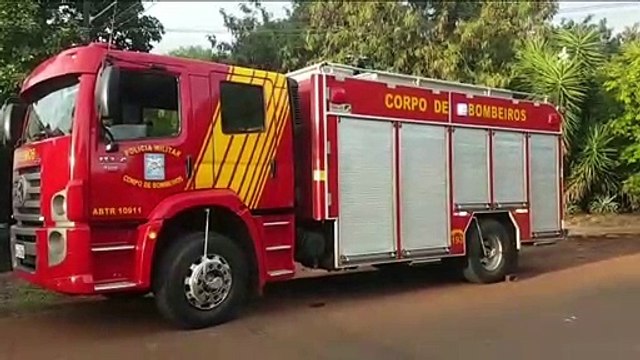 Cachorro cai em bueiro e Bombeiros são mobilizados