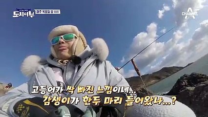 [선공개] 고등어 지옥 탈출! 이거..5짜 감성돔 맞나요?