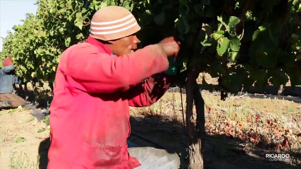 Durbanville Hills values