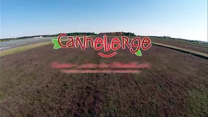 Centre d'interprétation de la canneberge