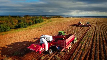 On est les meilleurs | Capsules de février 2017