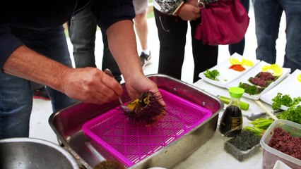 On est les meilleurs - promo 41 à 44