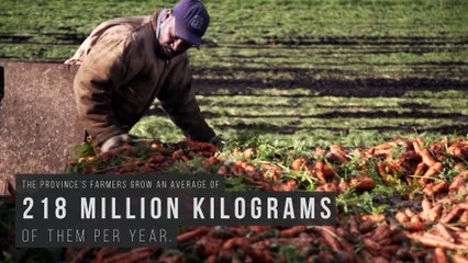 WATB PROMO - 49 to 52