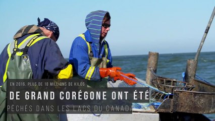 On est les meilleurs - Promo 45 à 48