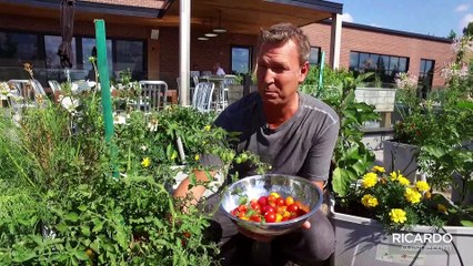 Cherry Tomato Focaccia