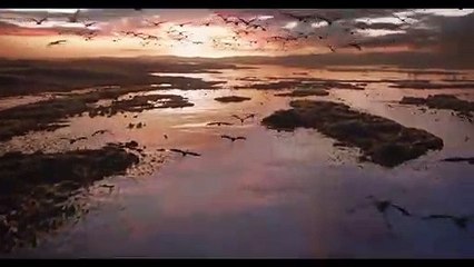 The Lion King TV Spot (2019)