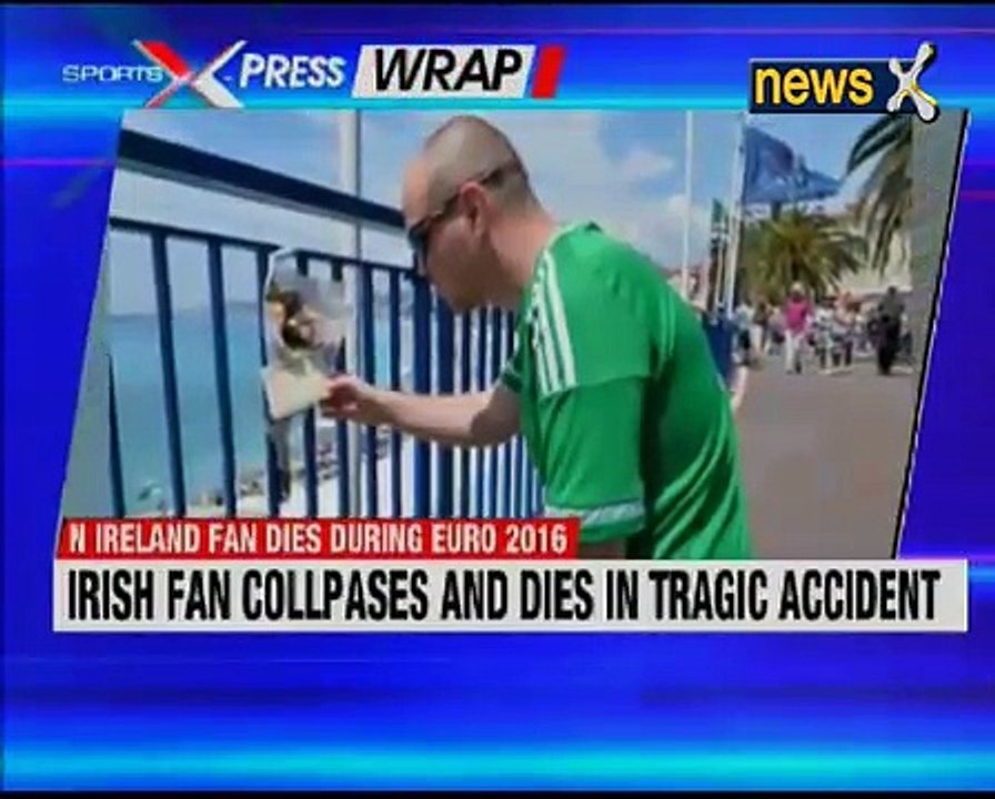 Euro 2016: Northern Ireland fan collapsed and died during their 2-0 win over Ukr