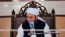 jab moulana tariq jameel sahab India mein pahli bar aye to unke saath kya hua