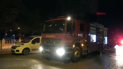 Kedi, evde çıkan yangında sahibini kurtardı