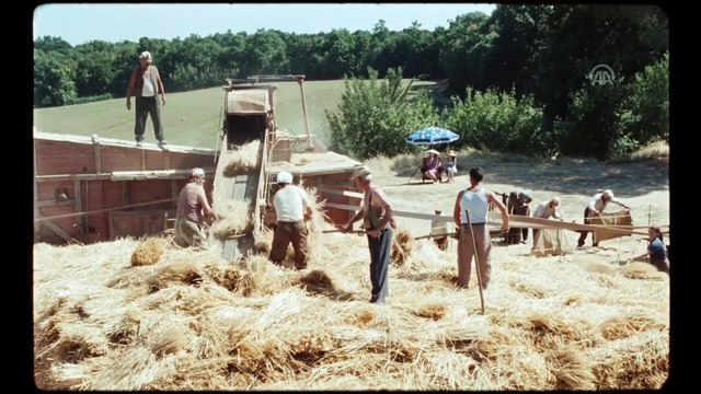 Sinema - Mutlu Lazzaro - İSTANBUL