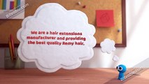 Indian Human Hair Extension Delhi | Remypatra Hair Industries