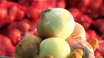 İzmir'de dar gelirli ailelere patates soğan yardımı