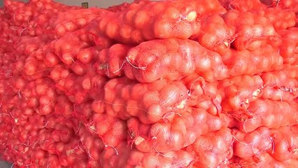İzmir'de Dar Gelirli Ailelere Patates Soğan Yardımı