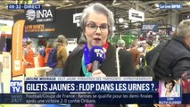 Européennes: la gilet jaune Jacline Mouraud affirme que 