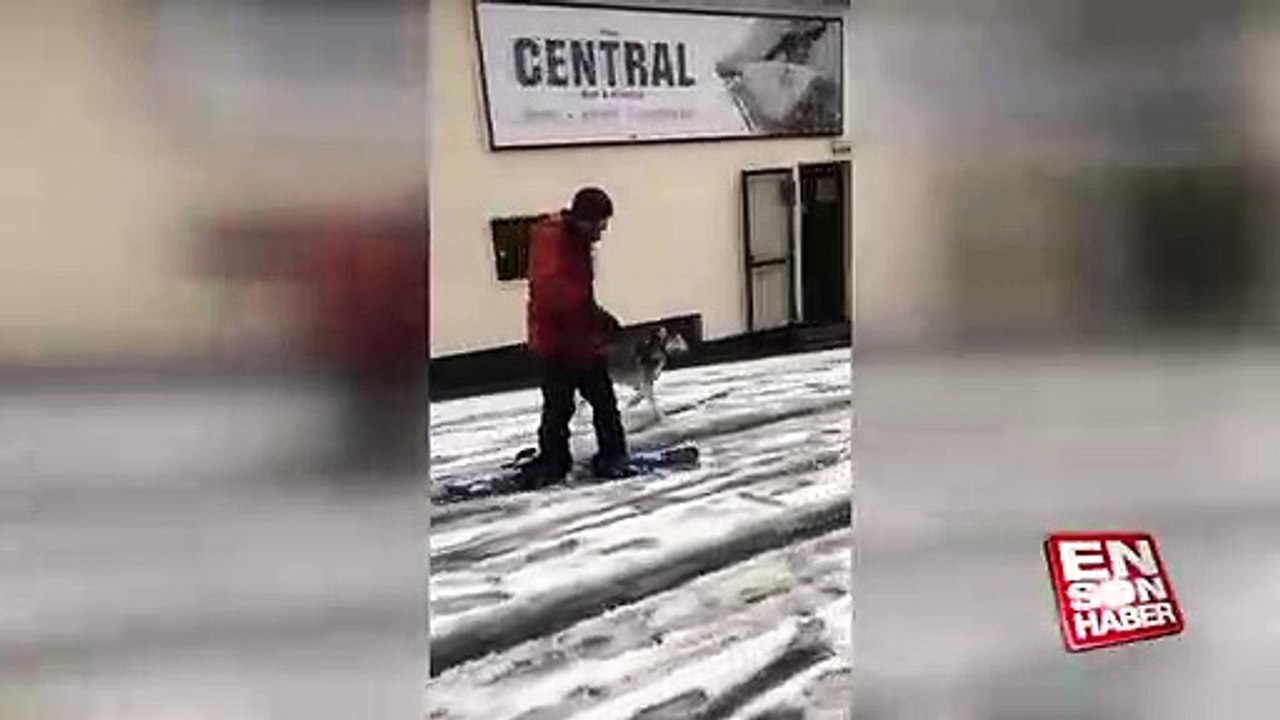 Cadde ortasında köpeğiyle kayak yapan adam