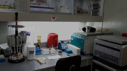 Venezuela : “En matière de santé publique on est revenus 40 ans en arrière”