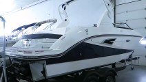 2019 Sea Ray SLX 230 For Sale MarineMax Rogers Minnesota