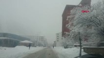 Bingöl Karlıova'da Kar Esareti İş Yerleri Açılamadı, Okullar Tatil Edildi